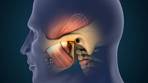 preauricular sinus
