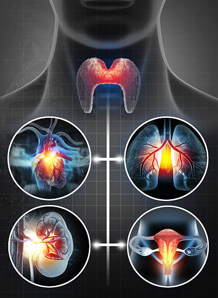 Thyroid Surgery